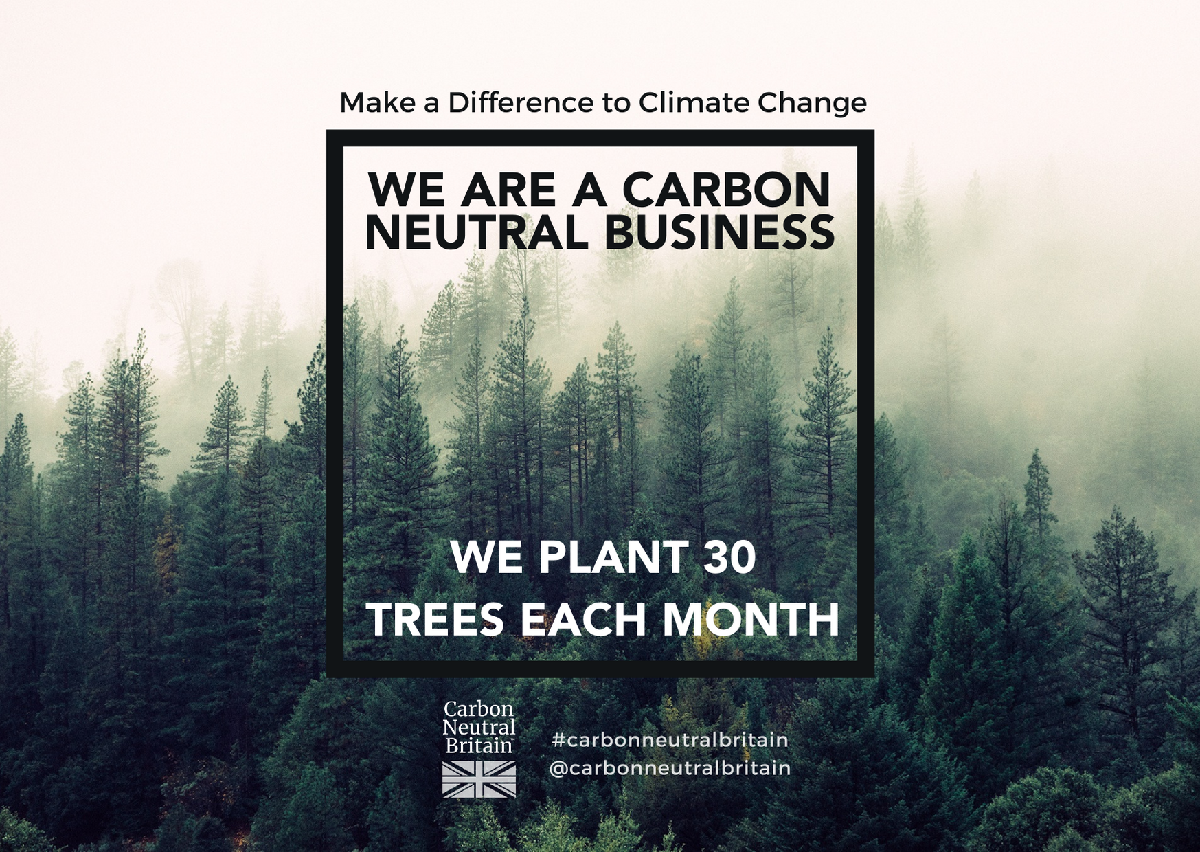 Our Carbon Neutral Commitment and How it Supports our Strategy to Net Zero