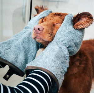 Drying Mitts (Dog's)