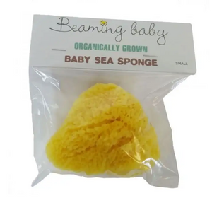 Sponge (Organic)