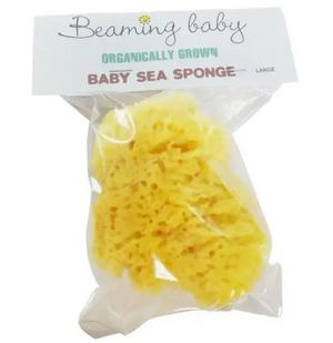 Sponge (Organic)