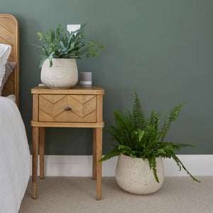 Plant Pot - Guest Room / Entrance, Bedside Table, Desk and Coffee Table (BBSS0038)