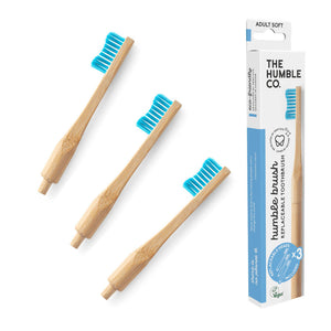 Replaceable Adult Toothbrush (with 3 replaceable heads)