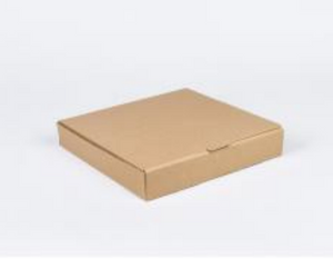 Containers (Pack of 100) - Pizza Box