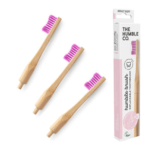 Replaceable Adult Toothbrush (with 3 replaceable heads)